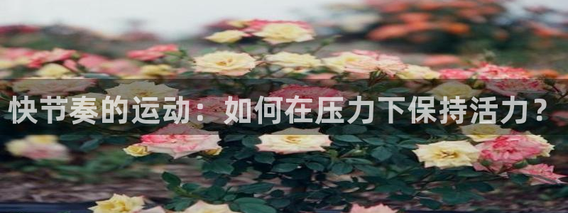 JJB竞技宝官网下载平台假的吗是真的吗吗:快节奏的运动:如何