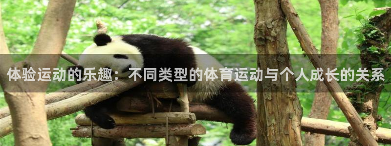 JJB竞技宝官方正版app官方:体验运动的乐趣:不同类型的体